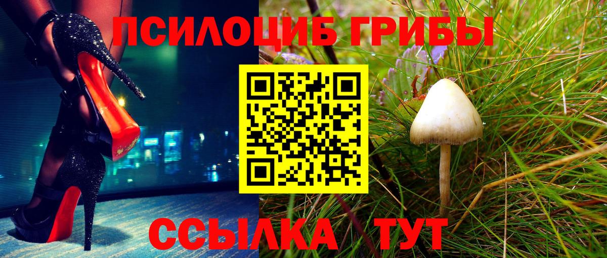 Азнакаево  магазин продажи наркотиков  Вход с VPN  Галлюциногенные грибы Psilocybe 